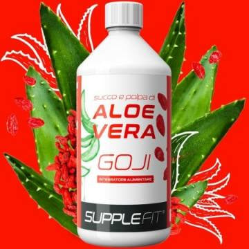 JUS ET PULPE D’ALOE VERA AVEC du GOJI Cod.: INTB009